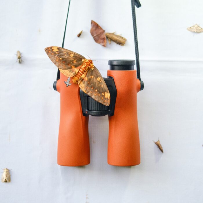 NL Pure 10x42 | Swarovski Binocular | Orange