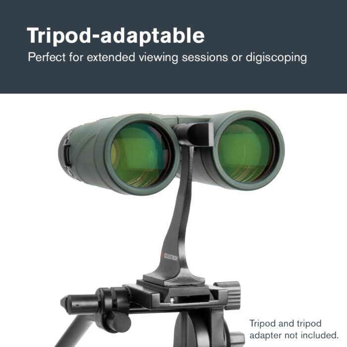 Celestron Nature Dx 10X42 Binocular