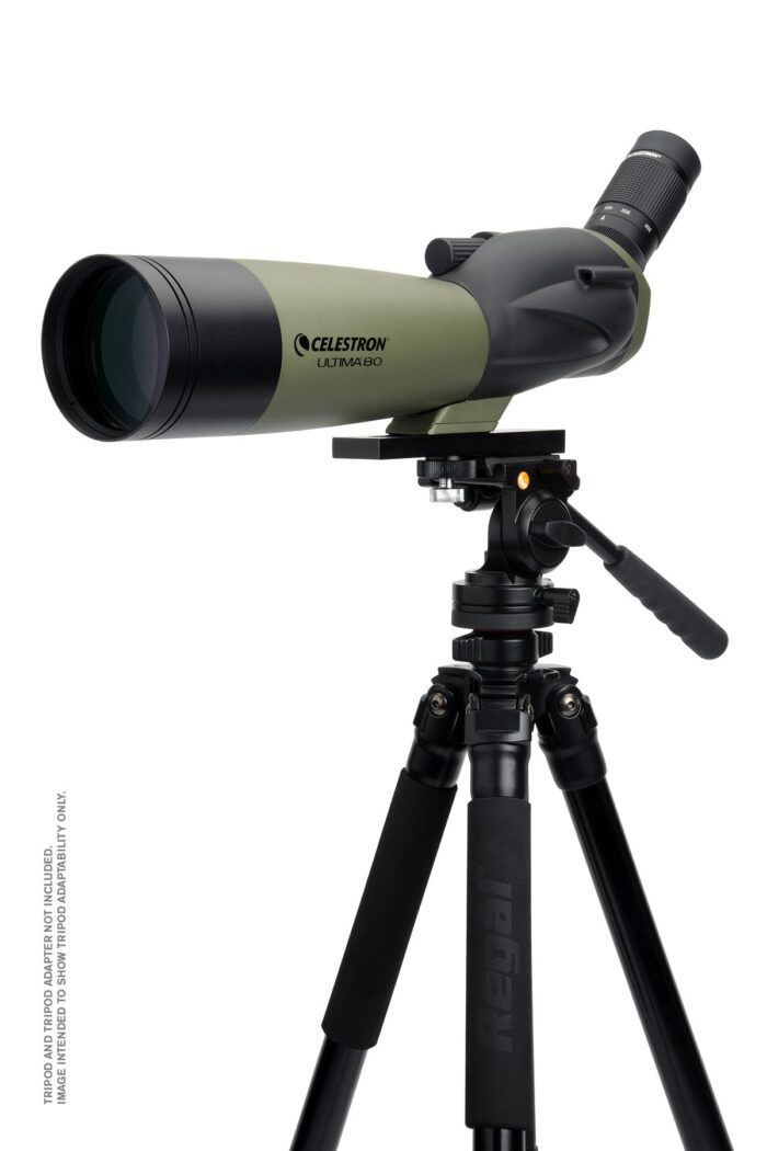Ultima 20-60x80mm Angled Zoom Spotting Scope