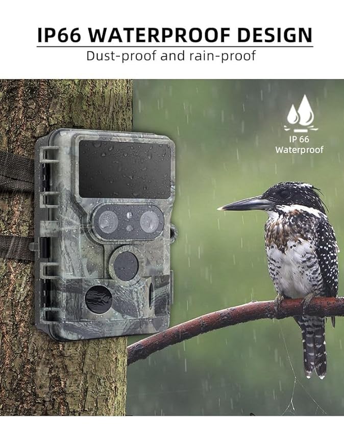 CAMERA TRAPS